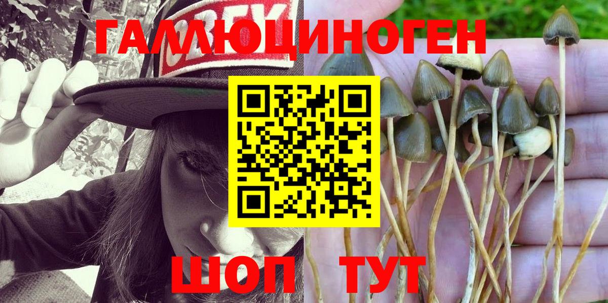 Псилоцибиновые грибы Cubensis  Вход с VPN  Псилоцибиновые грибы Psilocybe  Кумертау 